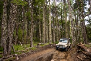 jeep fun race mawida adventures