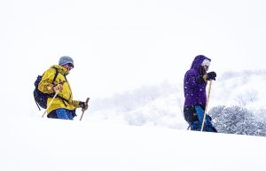 Tour caminata con raquetas de nieve