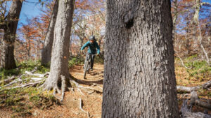 Multisport Adventure Week